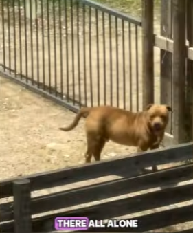 W2201005 This rescue meant everything (Part 2)