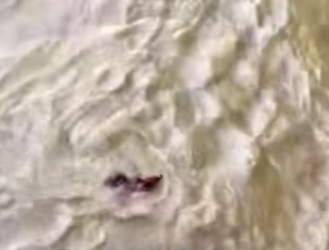 W2201002 From danger into peaceful rest (Part 2)