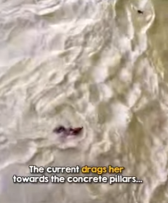 W2201002 From danger into peaceful rest (Part 2)