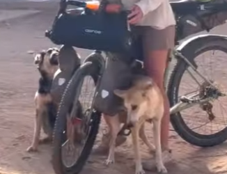 W2201006 Where compassion leads, life follows (Part 2)