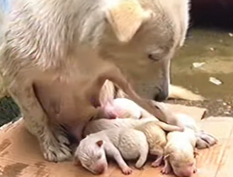 M2201006 Nos tiraron al agua por nacer… y aquí seguimos esperando no morir (Parte 2)