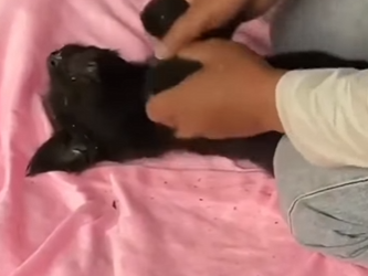 M2201005 Me tiraron bajo un puente para que nadie escuchara mi último latido (Parte 2)