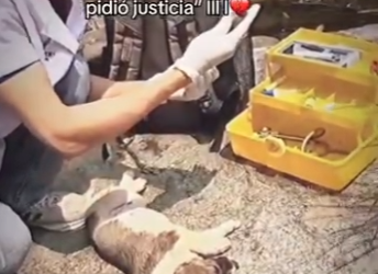 M2201007 Me lanzaron al río… pero mi llanto pidió justicia (Parte 2)