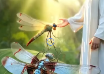 S2201004 Jesus Christ Performs Miracles Suffering Anima (Part 1)