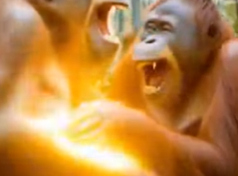 S2201007 Jesus Christ Performs Miracles Suffering Anima (Part 1)