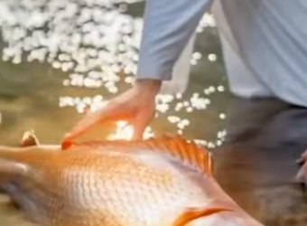 S2201006 Jesus Christ Performs Miracles Suffering Anima (Part 1)