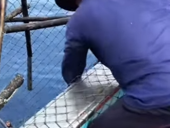 H2201001 Un pescador sacó una enorme jaula de las profundidades del mar (Parte 2)