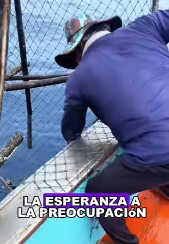 H2201001 Un pescador sacó una enorme jaula de las profundidades del mar (Parte 2)