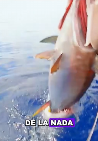 H2201005 Esta es la escena de pesca más increíble que he visto jamás (Parte 2)