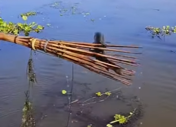 H2201002 Sin dudarlo, arrojó el arpón directamente al agua (Parte 2)