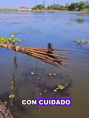H2201002 Sin dudarlo, arrojó el arpón directamente al agua (Parte 2)