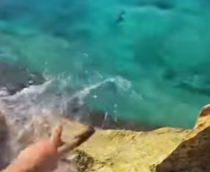 H2201003 No necesitaba una caña de pescar para atrapar un mero enorme (Parte 2)