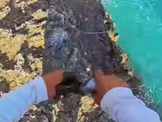 H2201006 Cuando pesques en el mar, si de repente un banco de peces salta del agua, no pierdas la oportunidad (Parte 2)