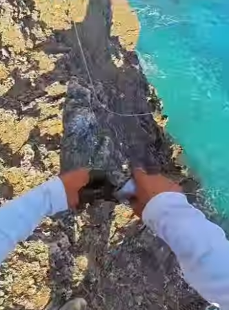 H2201006 Cuando pesques en el mar, si de repente un banco de peces salta del agua, no pierdas la oportunidad (Parte 2)