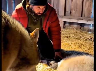 F0501003 un lobo me trajo esto y me lleve tremenda sorpresa (Parte 2)