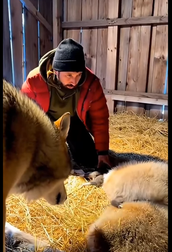 F0501003 un lobo me trajo esto y me lleve tremenda sorpresa (Parte 2)