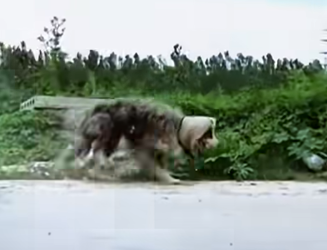 C2201003 This rescue meant everything (Part 2)