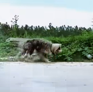 C2201003 This rescue meant everything (Part 2)