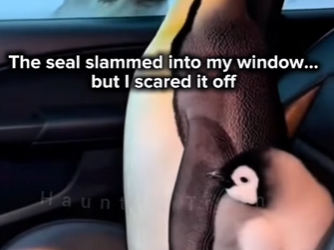 P2301003 A second chance begins today (Part 2)