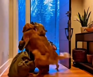 P2301002 Kind hearts make real change (Part 2)