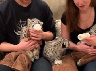 P2301004 Rescue brings light to darkness (Part 2)