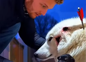 Another victory for compassion (Part 2)