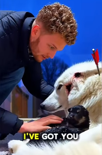 Another victory for compassion (Part 2)