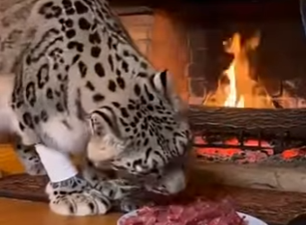 P2301006 When care replaces fear (Part 2)