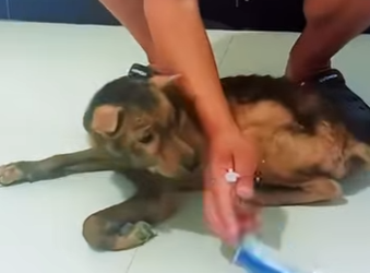 A safe place at last (Part 2)