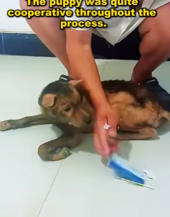 A safe place at last (Part 2)