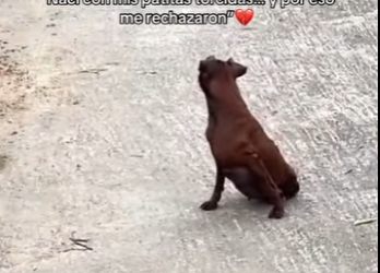 M2301007 Del peligro a manos amables (Parte 2)