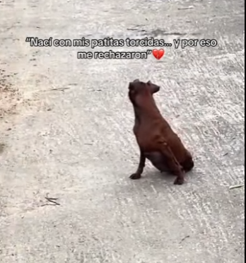 M2301007 Del peligro a manos amables (Parte 2)