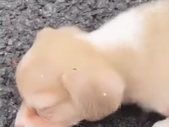 M2301006 Porque cada latido importa (Parte 2)