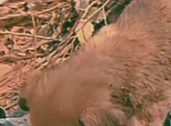 M2301005 Hoy la bondad hizo la diferencia (Parte 2)