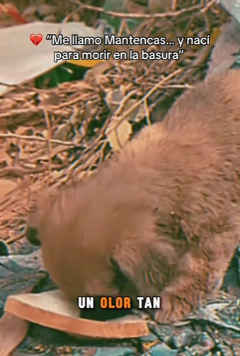 M2301005 Hoy la bondad hizo la diferencia (Parte 2)