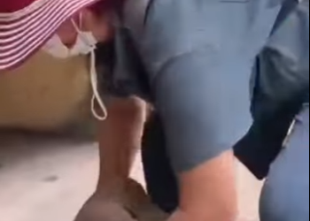 M2301008 La esperanza nace con compasion (Parte 2)