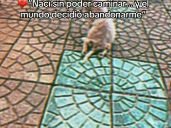 M2301011 La bondad puede salvar una vida (Parte 2)