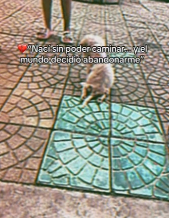 M2301011 La bondad puede salvar una vida (Parte 2)