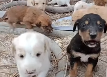 M2301014 Cuando llega la ayuda, llega la esperanza (Parte 2)