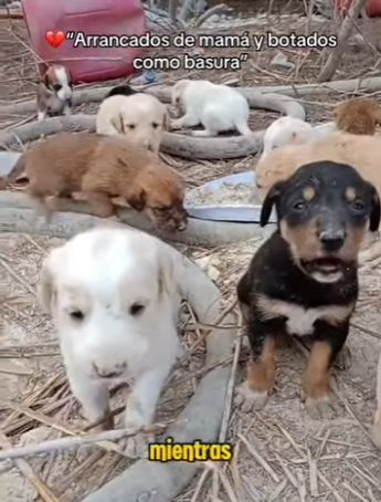 M2301014 Cuando llega la ayuda, llega la esperanza (Parte 2)