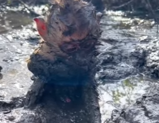 M2301013 Del miedo a la seguridad en un momento (Parte 2)