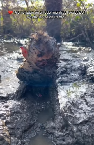 M2301013 Del miedo a la seguridad en un momento (Parte 2)