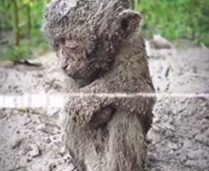 M2301010 El amor llego justo a tiempo (Parte 2)