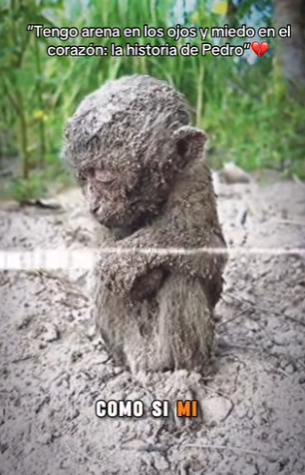 M2301010 El amor llego justo a tiempo (Parte 2)