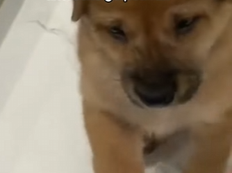 M2301002 Rescatar es amar en accion (Parte 2)