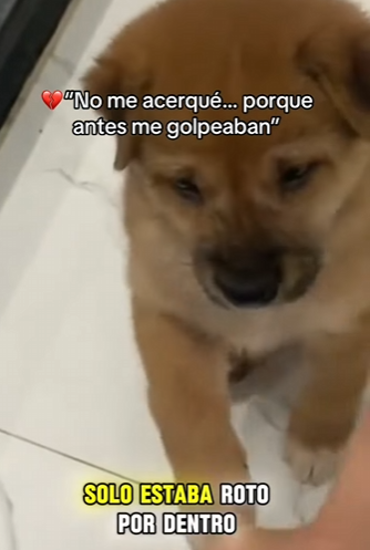 M2301002 Rescatar es amar en accion (Parte 2)