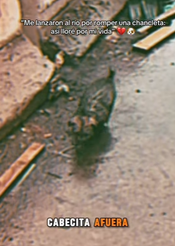 M2301012 Cada vida merece una segunda oportunidad (Parte 2)