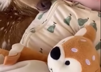 R2301003 Una segunda oportunidad empieza aqui (Parte 2)