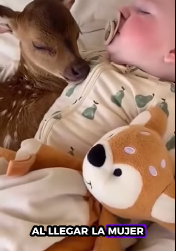 R2301003 Una segunda oportunidad empieza aqui (Parte 2)