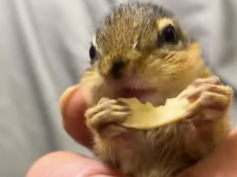 R2301011 Un nuevo comienzo lleno de amor (Parte 2)